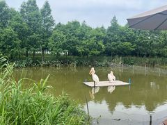 -宁波杭州湾国家湿地公园