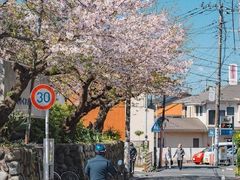 -灌篮高手动画打卡地