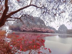 -星湖旅游景区七星岩