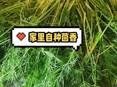 -享口福饺子馆(民旺园店)