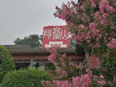 -阳台山自然风景区