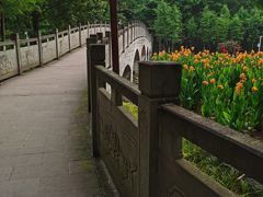 -重庆彩云湖湿地公园