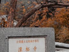 -潭柘寺景区