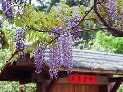 -龙华寺