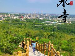 -白水寺森林公园