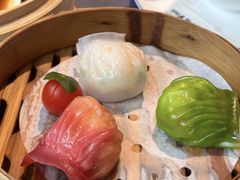 -点都德·毕德寮