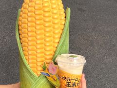 -茶救星球·蔬果茶(北京路旗舰店)