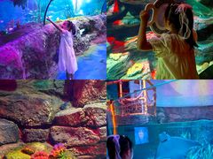 -沈阳海洋探索中心