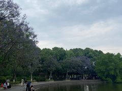 -成都南湖公园