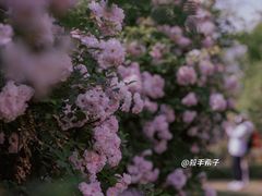 -江南茗茶城