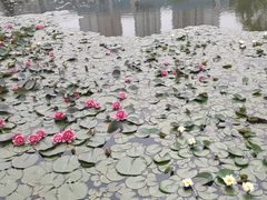 -丁家河公园