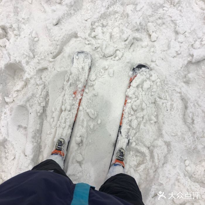 绍兴启迪乔波冰雪世界图片