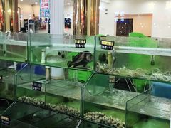 -四海鲜渔家菜(黄金海岸店)