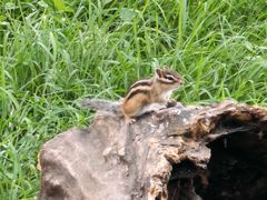 -长春市南湖公园