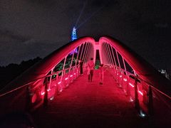 -金鸡山公园