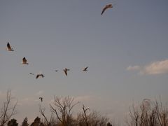 -呈贡滇池生态湿地公园