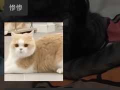 -手佳·水疗汇(嘉益店)