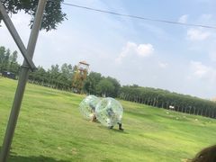 -武汉紫薇都市田园