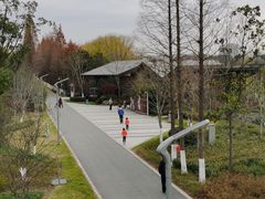 -昆山城市生态森林公园