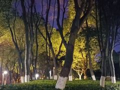 -天鹅湖体育公园