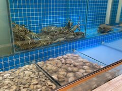 -乐汤汇温泉生活馆