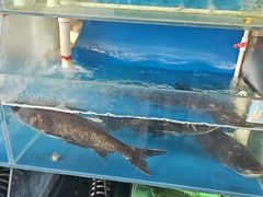 -上地宴·中关村的会客厅(清河高铁站店)