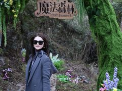 -龙湾潭国家森林公园