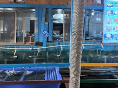 -蓝湾碧波·老字号·疍家非遗海上餐厅
