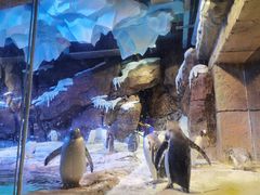 -波塞冬旅游度假区