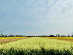 -中国天府农业博览园