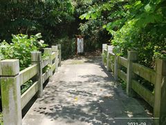 -羚羊峡古栈道森林公园