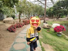 -南通洲际绿博园