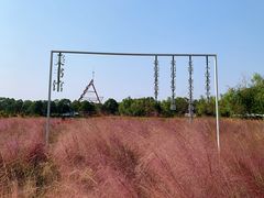 -艾溪湖湿地公园