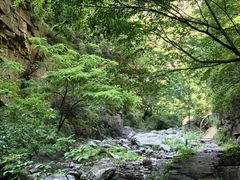 -九龙潭景区