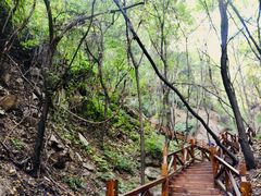 -大岭沟猕猴桃谷风景区