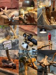 -Zoolung Zoolung动物主题公园(海信广场店)