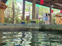 -西安国际创新人才交流中心•药浴温泉
