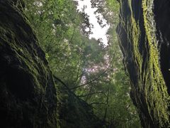 -牛背梁国家森林公园