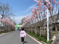 -武汉紫薇都市田园