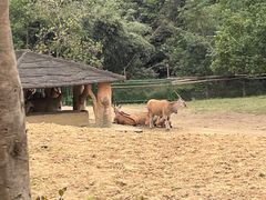 -杭州野生动物世界