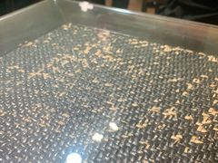 -勃利地摊·勃立小串烧烤