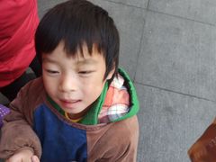 -御梁坊红糖馒头