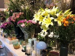 -PlantsEatery·植物食堂(REX春熙店)
