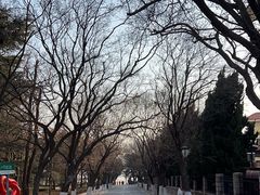 -八大关景区