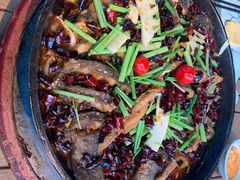 -老板恋上鱼(恒隆广场店)