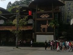 -海南槟榔谷黎苗文化旅游区