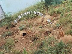 -无锡动物园·太湖欢乐园
