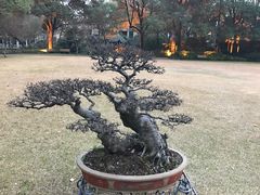-申粤轩酒楼·三十年粤菜经典(丁香花园店)