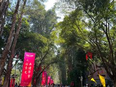 -广东外语外贸大学(白云山校区)