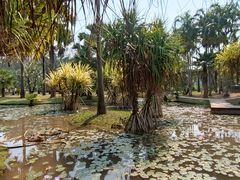 -中国科学院西双版纳热带植物园